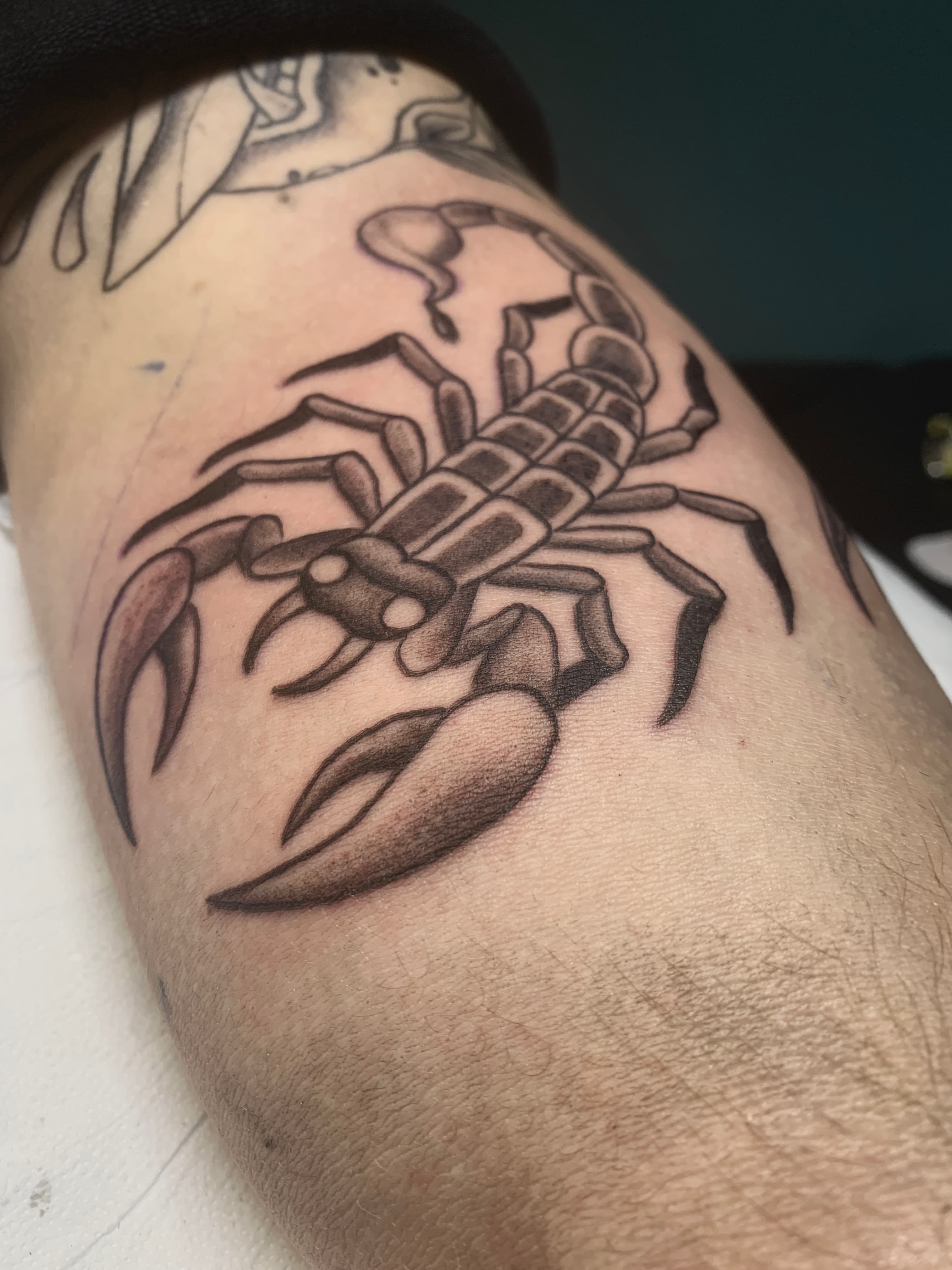 Pic 4